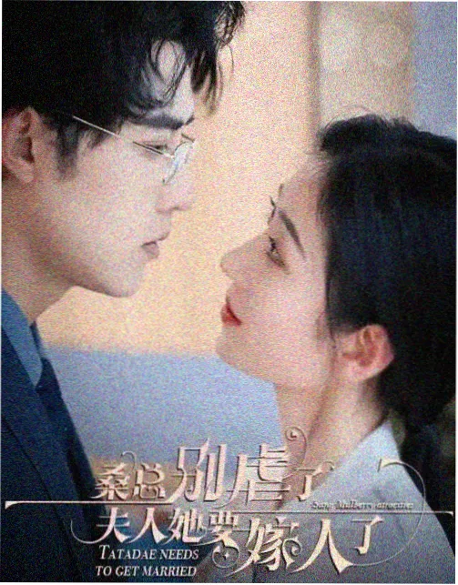 电视剧免费看 追风者